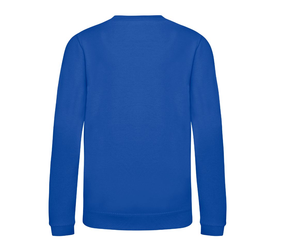 hoodie blauw achterkant